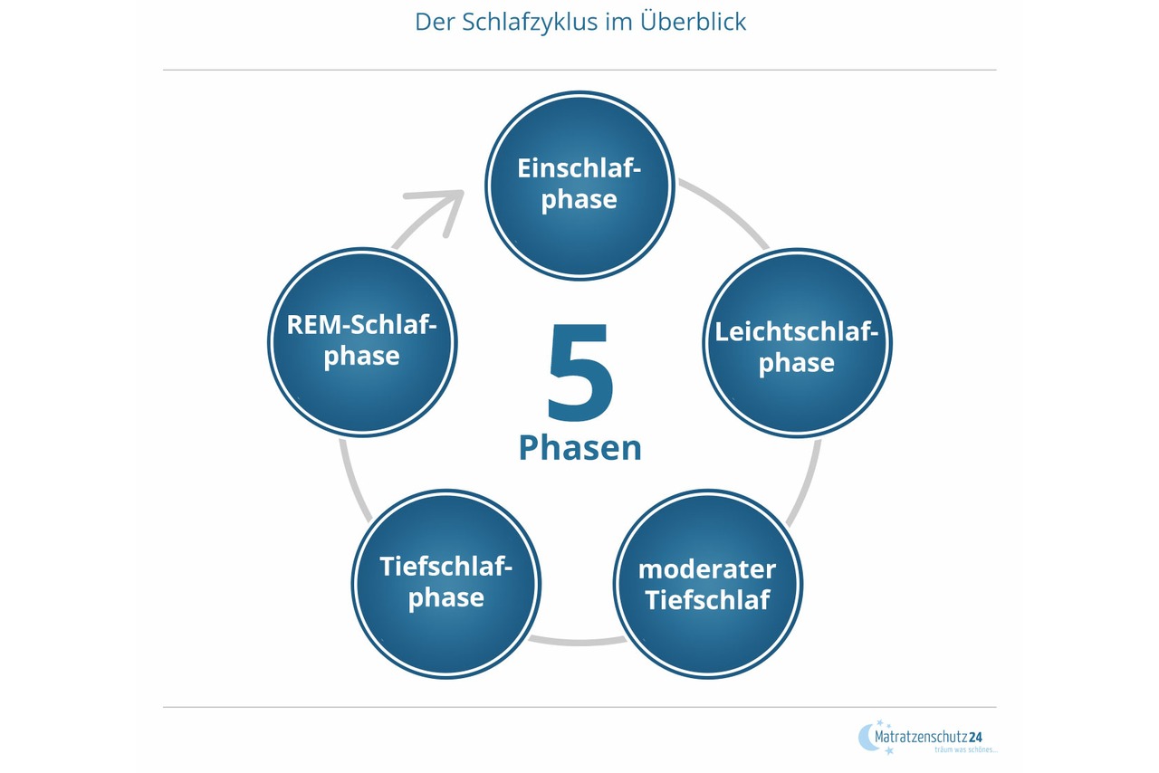 Schlafzyklus im &Uuml;berblick: Einschlafphase, Leichtschlaf, Tiefschlaf und REM-Phase